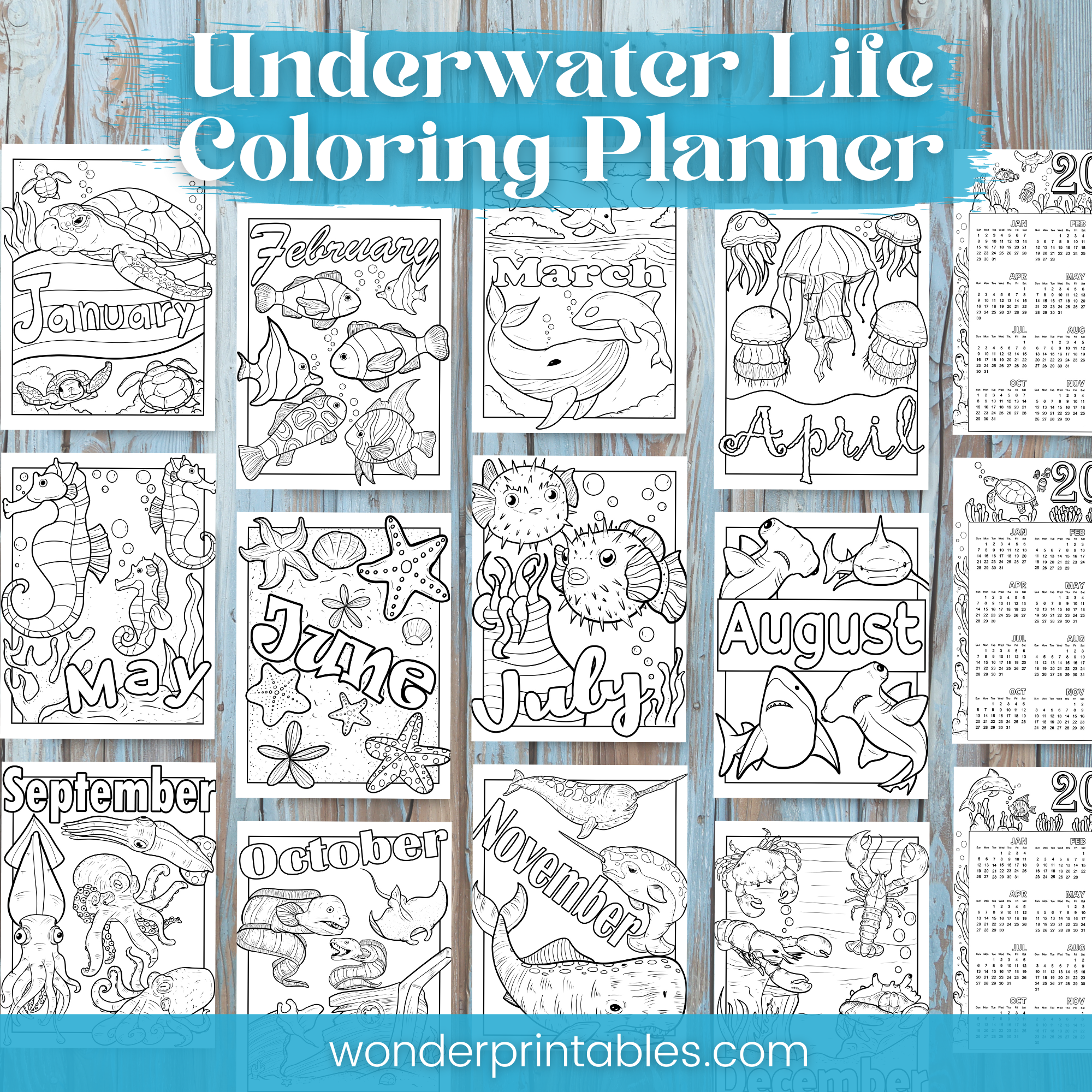 Under The Sea Coloring Book Planner: Sea Creature Coloring Planner and  Coloring Journal